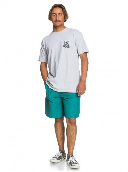 https://quiksilver.cz/35606-thickbox_default/og-peace-in-the-jungle-ss.jpg